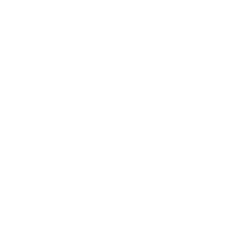 Castellón Ayuntamiento